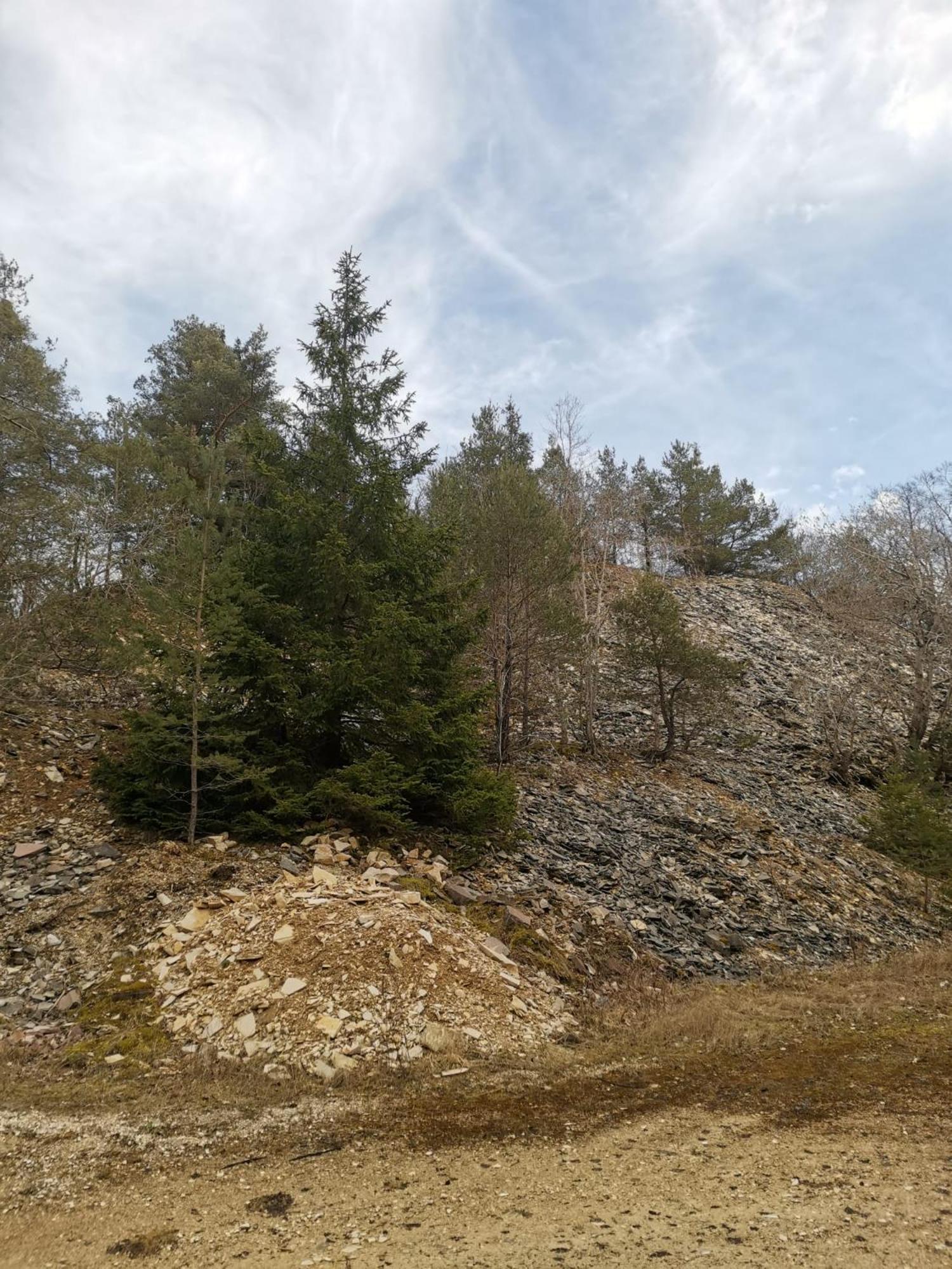Haus Zum Talblick Lägenhet Solnhofen Exteriör bild